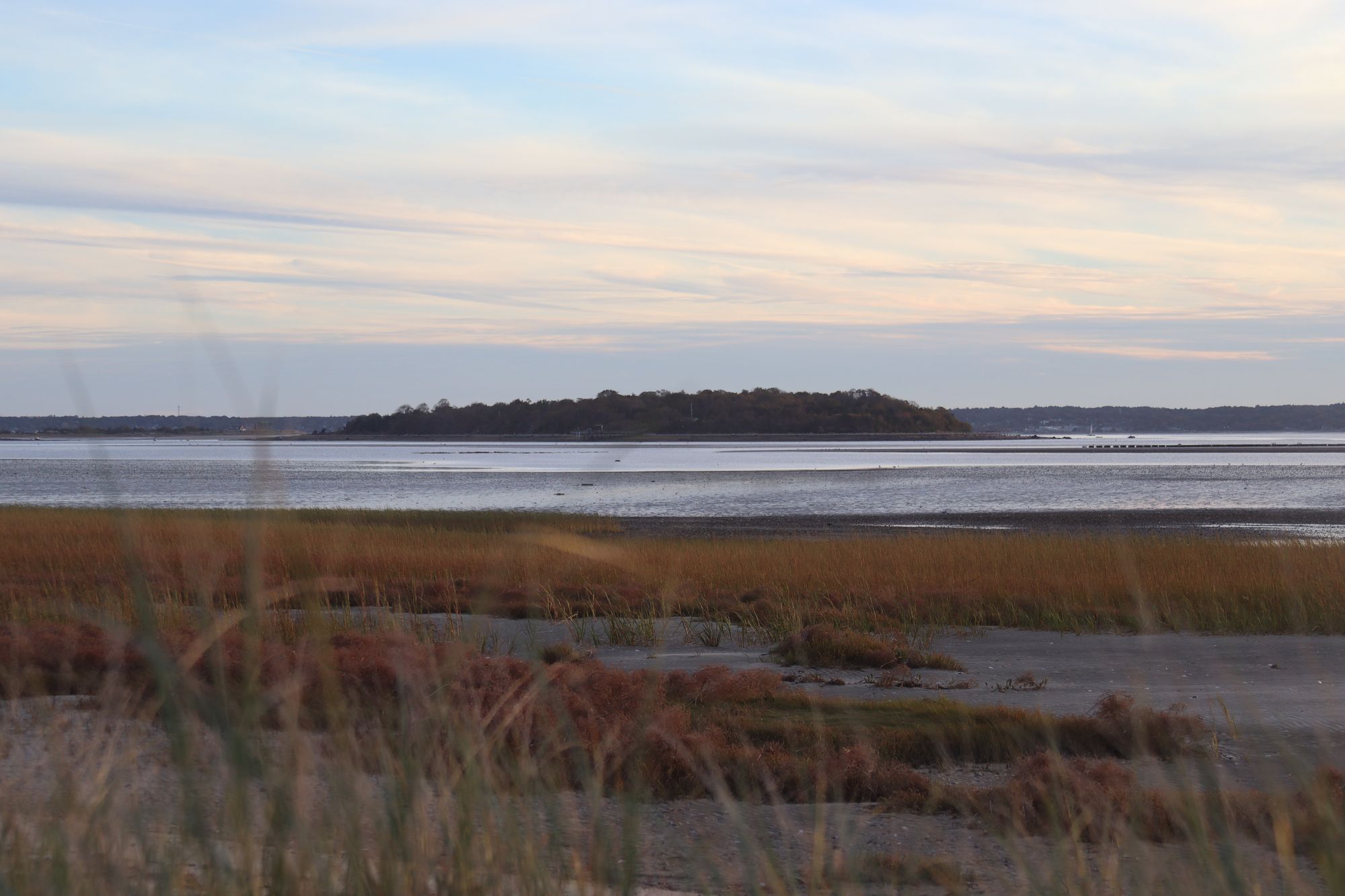 Salt marsh and tidal flats at dusk, with a wooded island on the horizon.
